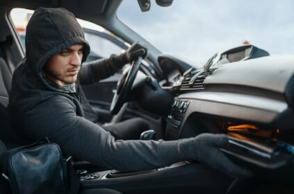 Consulta de Placa de Veículos Online: Descubra Tudo Sobre Seu Carro